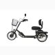 Dreiad für Erwachsene Cargo P20 von PF Mobility mit ProMovec Motor - Akku