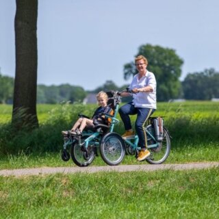 gebrauchte lastenfahrräder Riese & Müller Load 60 vario E-Lastenrad gebraucht