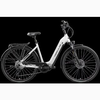 Futura Fold I-R8 von Hercules Bikes