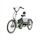 Eno AP Dreirad für Erwachsene mit  Bosch Active-Line-Plus Motor · 545 Wh-Akku und Rahmenfederung